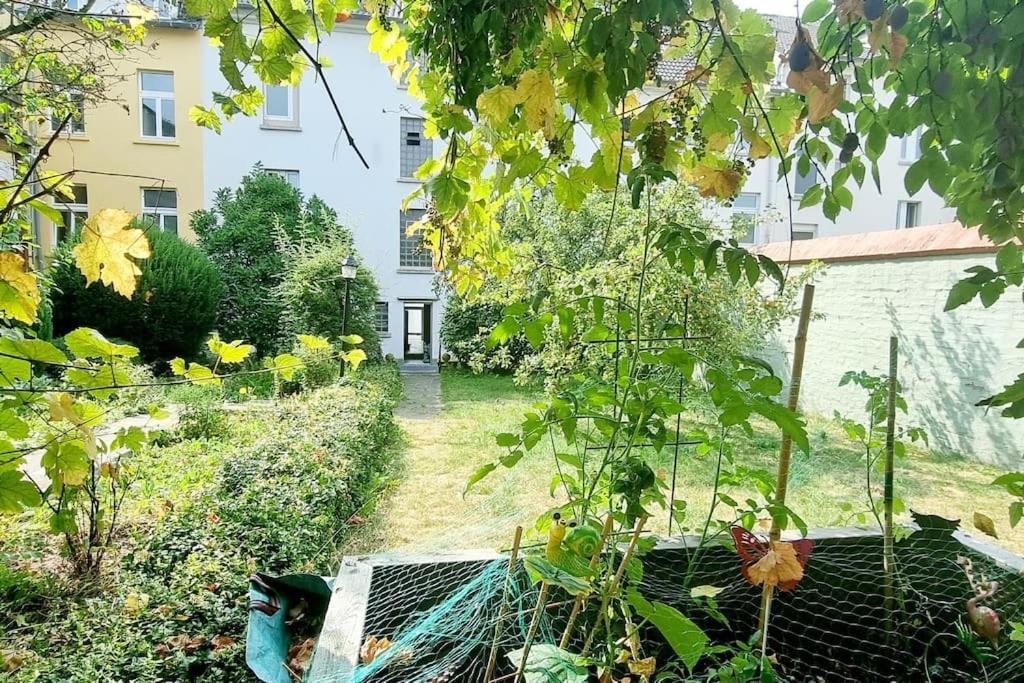 Schoene, Gemuetliche Wohnung, Voll Ausgestattet Βούρπεταλ Εξωτερικό φωτογραφία
